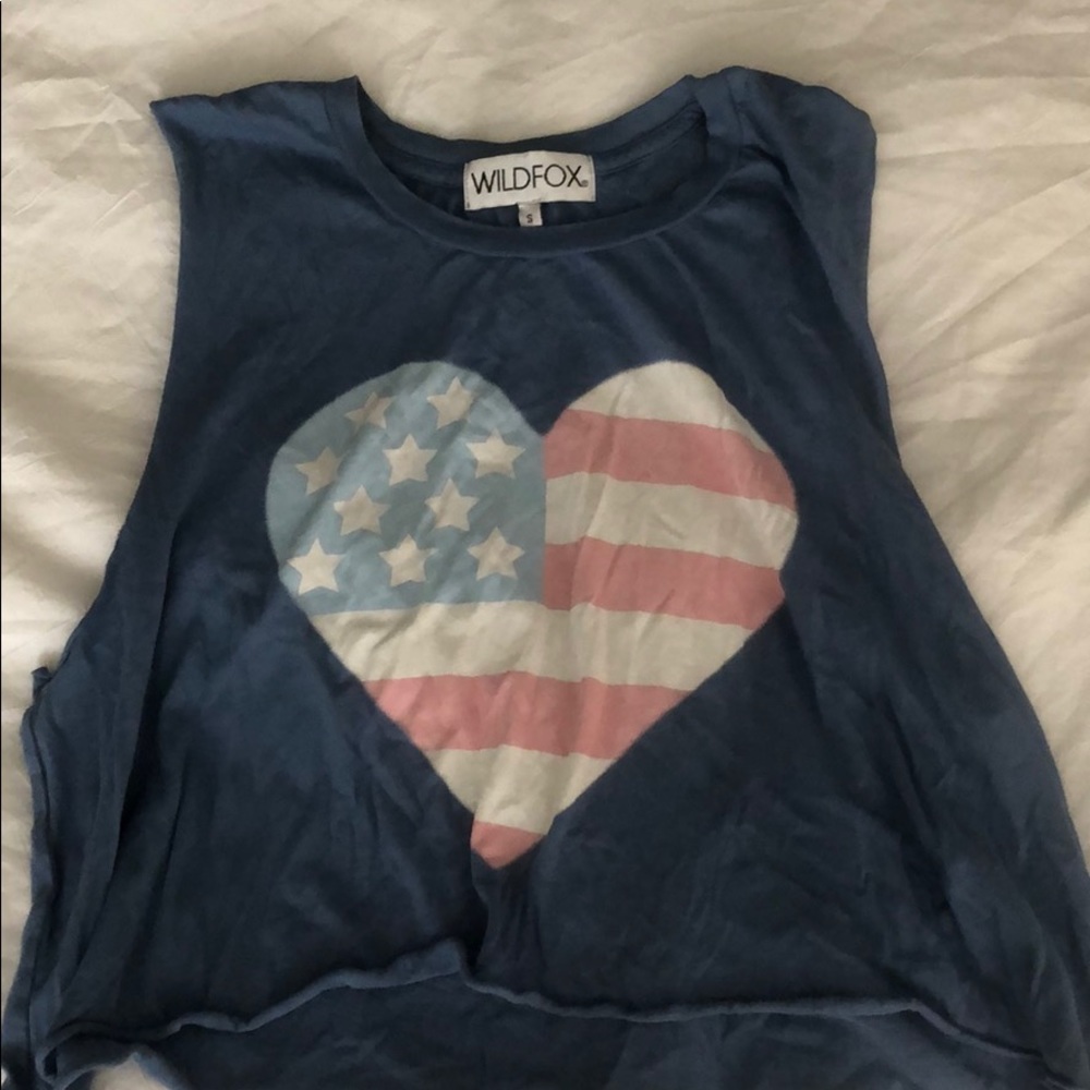 Wildfox crop top
